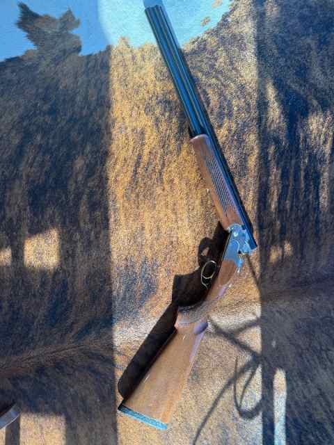 Beretta 12g