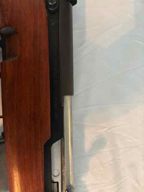 IMG_7029.jpeg