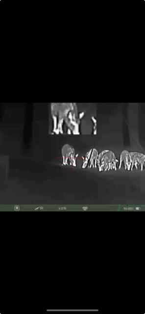 IMG_4291.jpeg