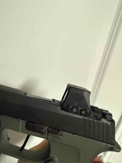 IMG_6789.jpeg
