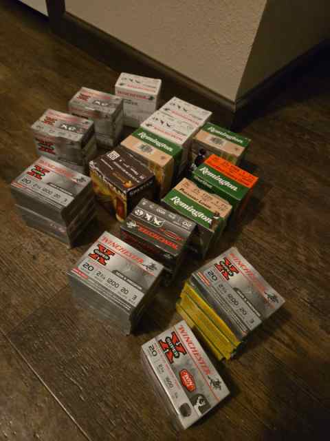 20 gauge ammo total of 640 shells new in boxes