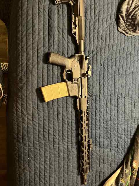 AR 15