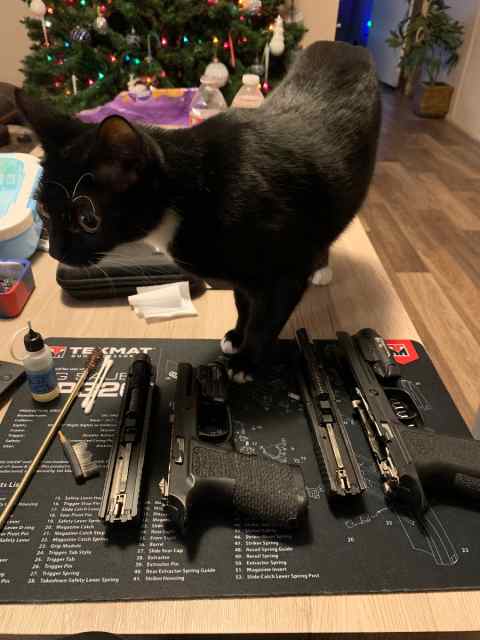 FS//FT—2-Sig P320s-Both 40SW-Both Modded-Ammo