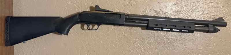 IMG_0766.jpeg