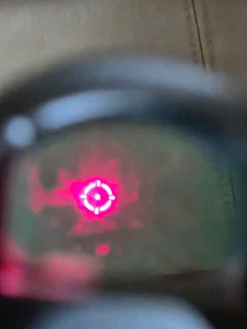 20250611_170205.jpg