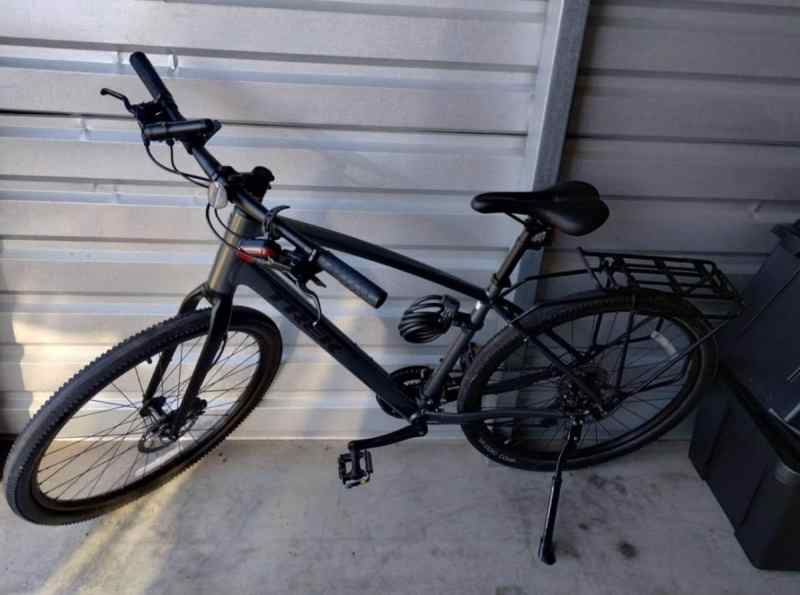 Large Trek Dual Sport 2